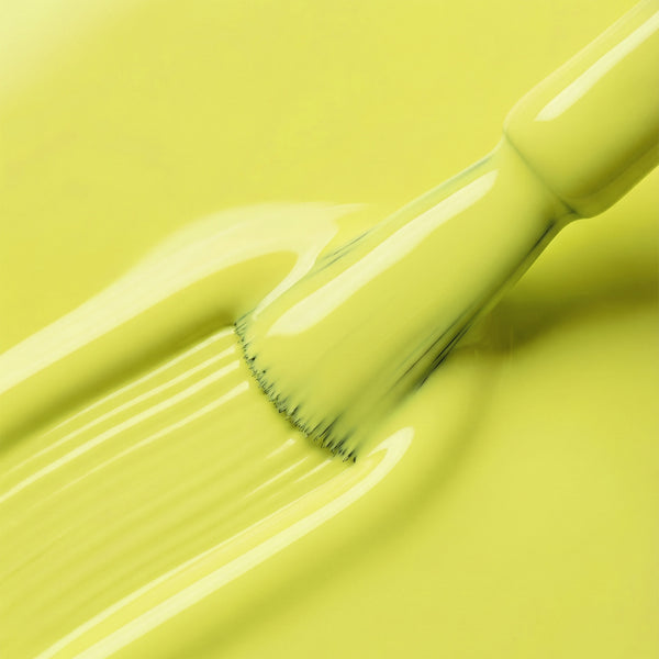 Icon - Spring Duo Pack