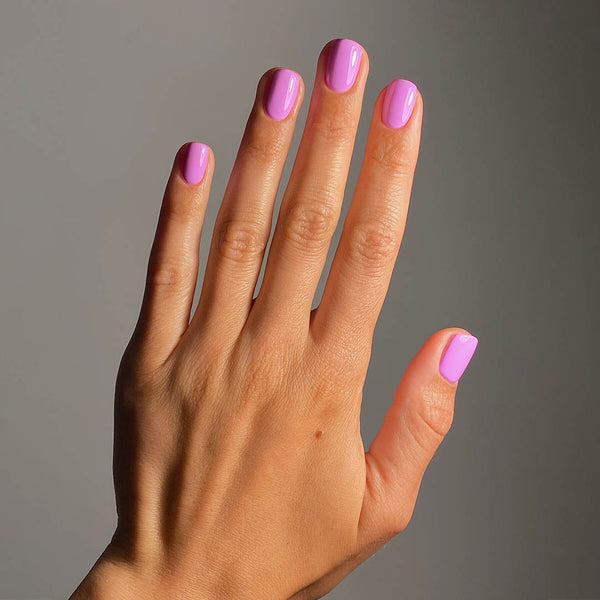 Amalia - Evo Gel
