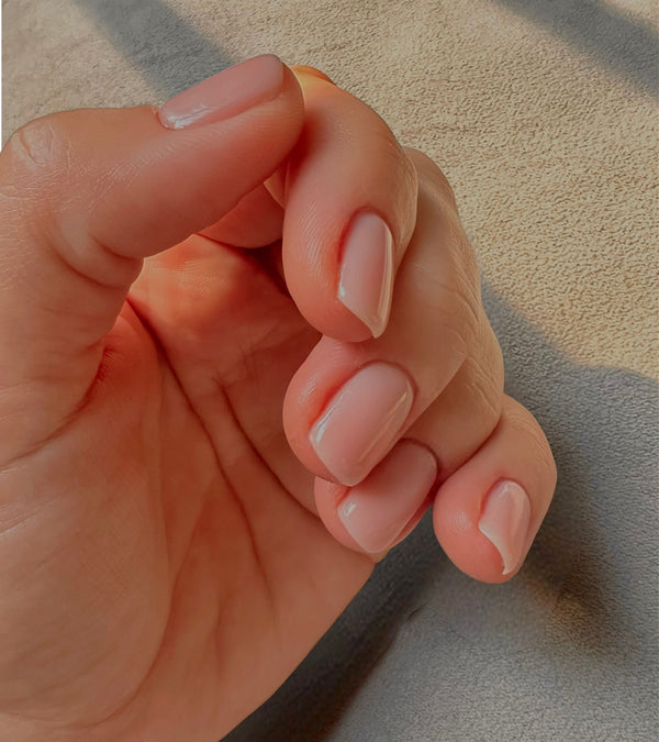 Anthea - Evo Gel