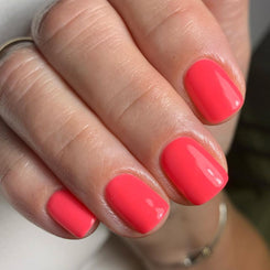 Chelsea - Evo Gel