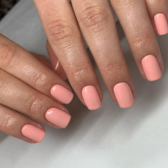 Clara - Evo Gel
