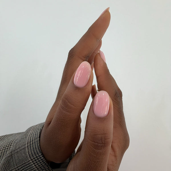 Petal - Colour Builder Stix