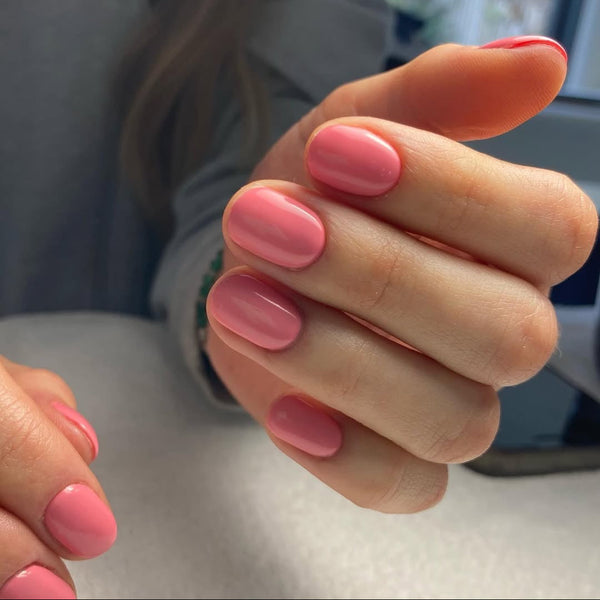 Crazy Daisy - 273 - 4.5g Gel