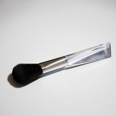 Dusting Brush