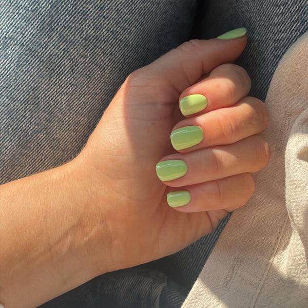 The Sorbet Summer Edit