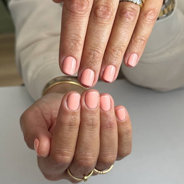 The Sorbet Summer Edit