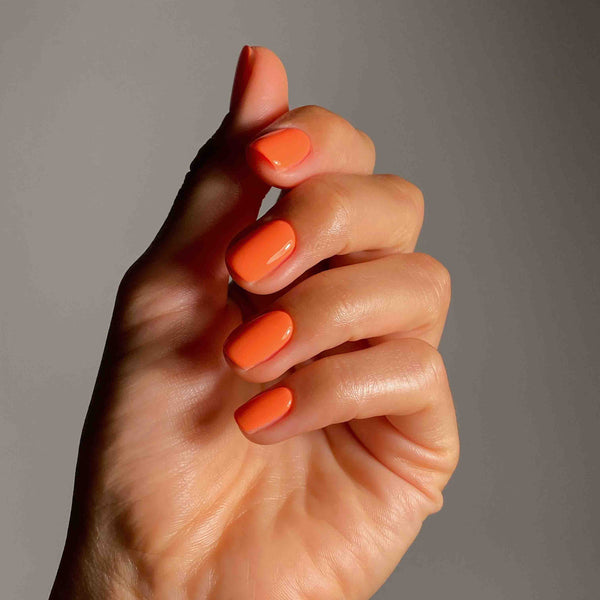 Bio Bottle Colour - Mariza