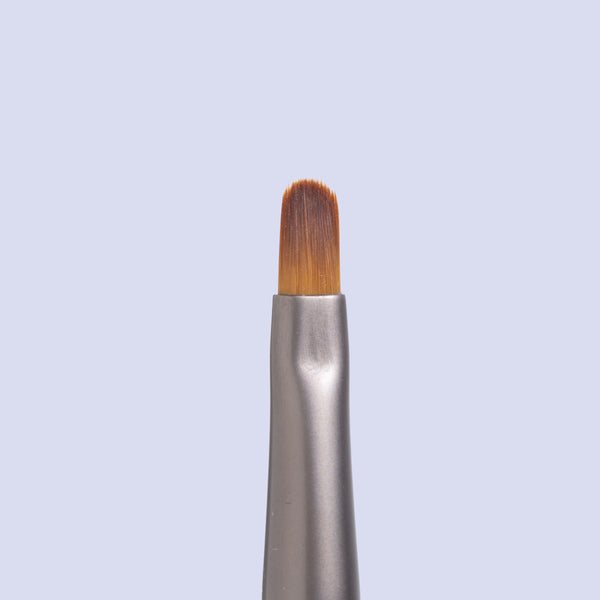 Premium No. 6 Round Brush