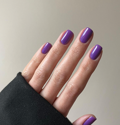 Anelda - Evo Gel
