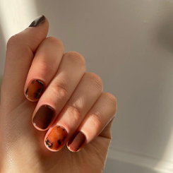 Essence Foil - Tortie Foil