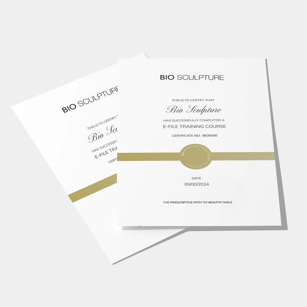 E-file Training Certificate