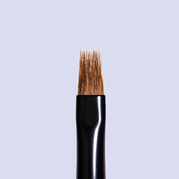Natural Ombre Brush